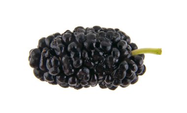 Beyaz arka plan yakın çekim izole dut