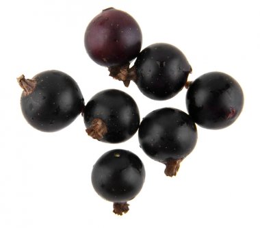 Beyaz arka plan closeup izole Siyah frenk üzümü