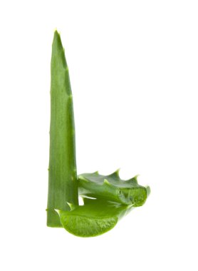 Beyaz arka plan closeup izole aloe
