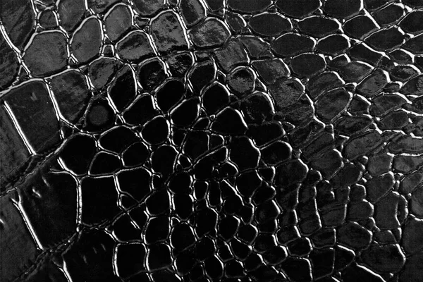 Černá krokodýlí kůže textury pozadí — Stock fotografie