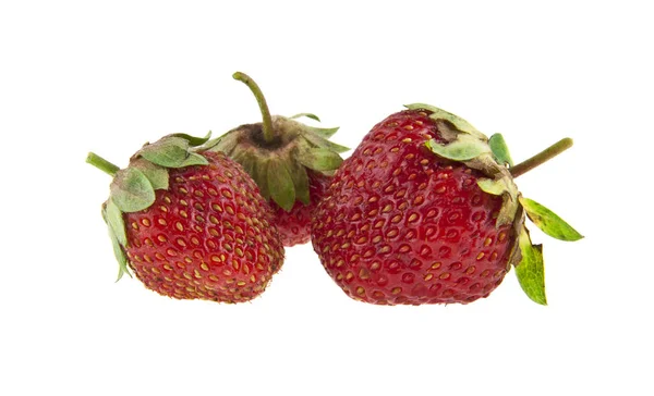 Strawberry isolerad på vit bakgrund närbild — Stockfoto