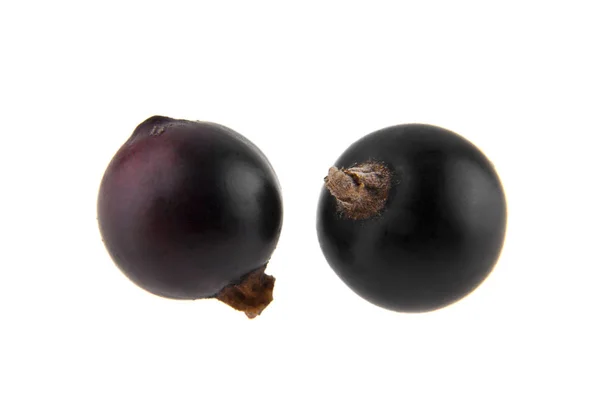 Black currant isolated on white background closeup — Stock Photo, Image