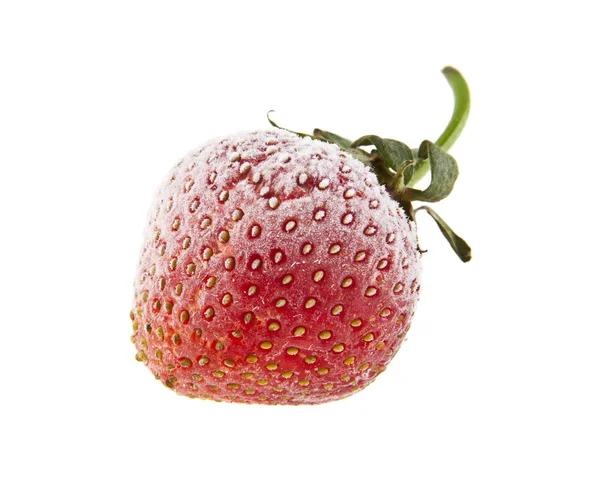 Gefrorene Erdbeeren isoliert auf weißem Hintergrund Nahaufnahme — Stockfoto