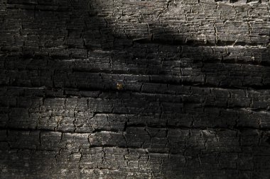 Arka plan olarak eski bir yanık ağaç dokusuna