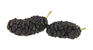 Dut beyaz arkaplanda izole edilmiş