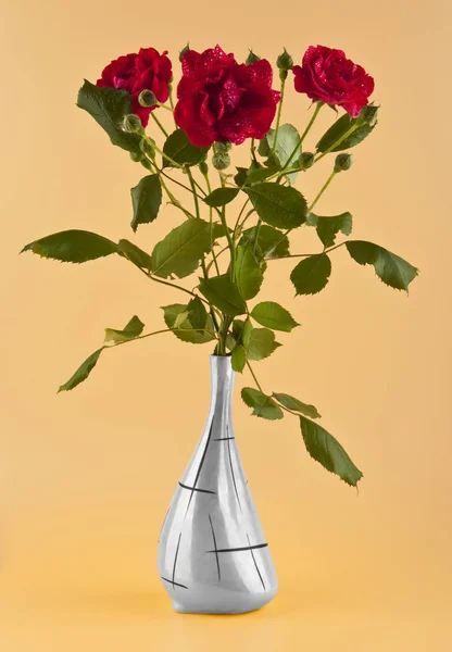 Red roses on a beige background — Stock Photo, Image