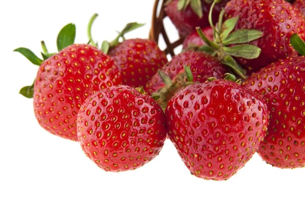 Red and juicy strawberries isolated on white background closeup — Stock Photo, Image