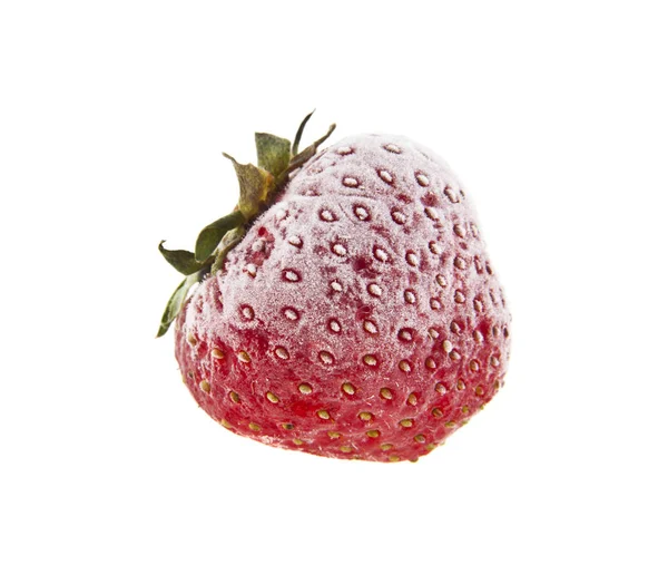 Erdbeeren im Frost isoliert auf weißem Hintergrund — Stockfoto