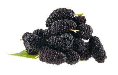 Dut beyaz arkaplanda izole edilmiş