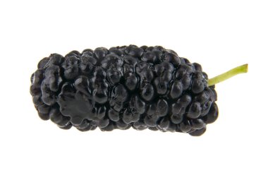 Dut beyaz arkaplanda izole edilmiş