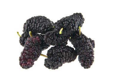 Dut beyaz arkaplanda izole edilmiş