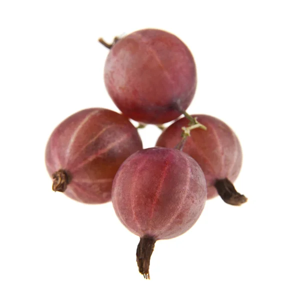 Gooseberries isolated on white background — Stock Photo, Image