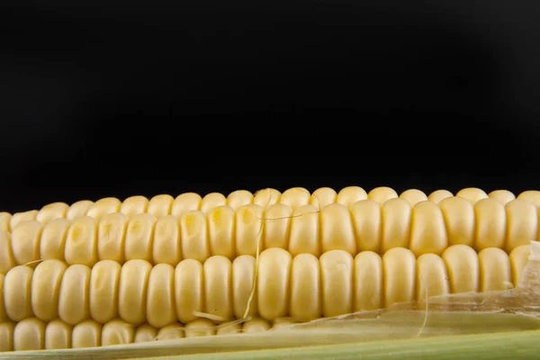 Corn on a black background — Stock Photo, Image