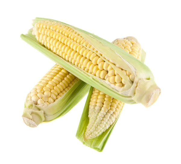 Кукурудза ізольована на білому фоні — стокове фото