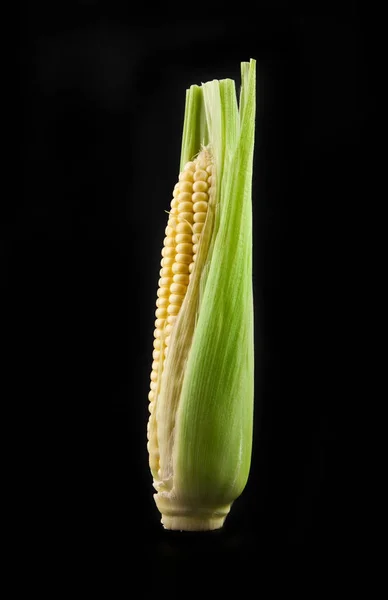 Corn on a black background — Stock Photo, Image