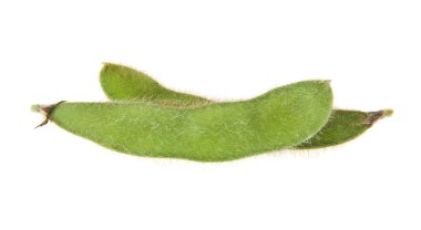 Soya fasulyesi beyaz arkaplanda izole