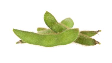 Soya fasulyesi beyaz arkaplanda izole