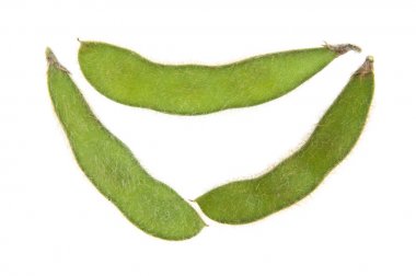 Soya fasulyesi beyaz arkaplanda izole