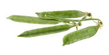 Beyaz arkaplanda izole bezelyeler