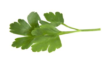 Beyaz arka plan closeup izole maydanoz