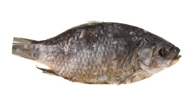 Beyaz arka plan üzerinde izole konserve havuz