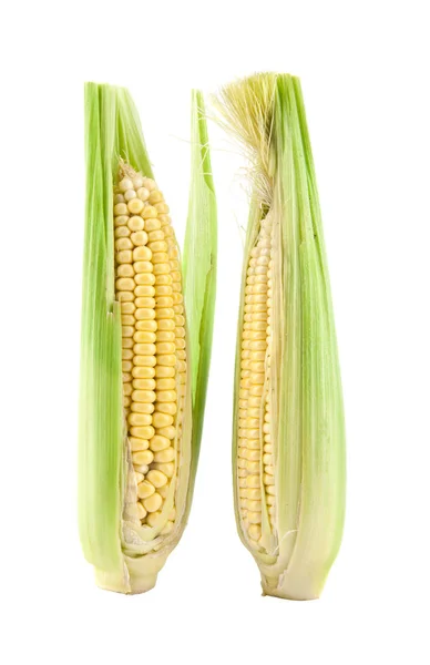 Corn isolated on white background — Stock Photo, Image