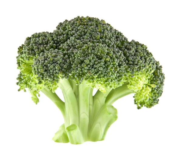 Fresh broccoli isolated on white background closeup — Stock Photo, Image