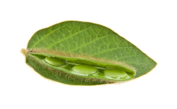 Soybean isolated on white background — Stock Photo, Image