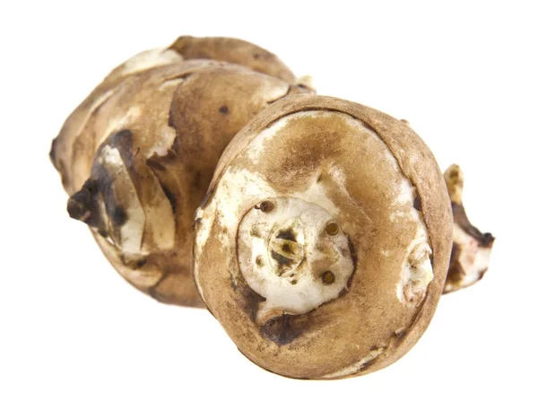 Beyaz arka plan üzerinde izole elması