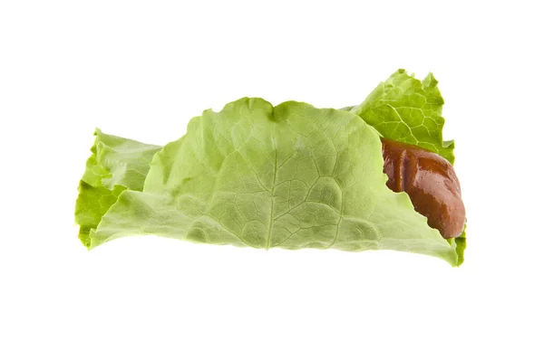 Sausage and lettuce leaf isolated on white background — Stock Photo, Image