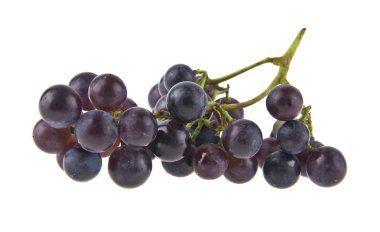 Beyaz arka plan closeup izole üzüm