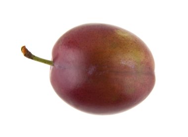 Beyaz arka plan closeup izole sulu Erik