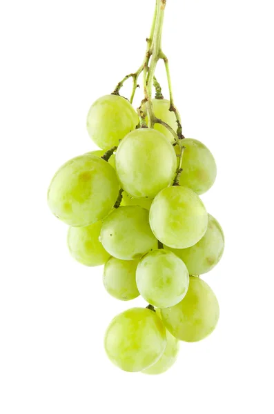 Uvas aisladas sobre fondo blanco — Foto de Stock