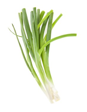 green onion isolated on white background closeup clipart