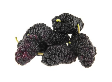 Dut beyaz arkaplanda izole edilmiş