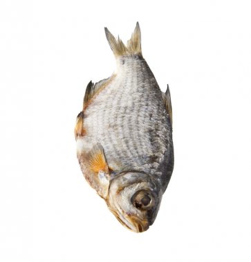 kurutulmuş balık beyaz bir arka plan üzerinde izole