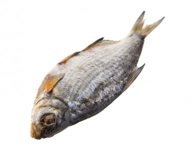 kurutulmuş balık beyaz bir arka plan üzerinde izole