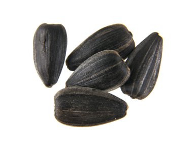 Beyaz arka plan closeup izole Ayçekirdeği