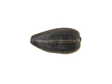 Beyaz arka plan closeup izole Ayçekirdeği