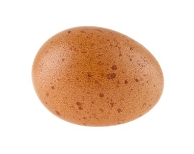 Beyaz arka plan closeup izole tavuk yumurtası