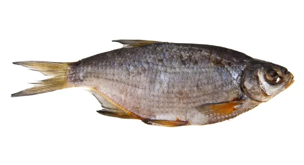 Dried fish isolated on a white background — Stock Photo, Image