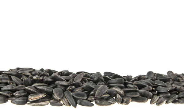 Sunflower seeds isolated on white background closeup — Stock Photo, Image