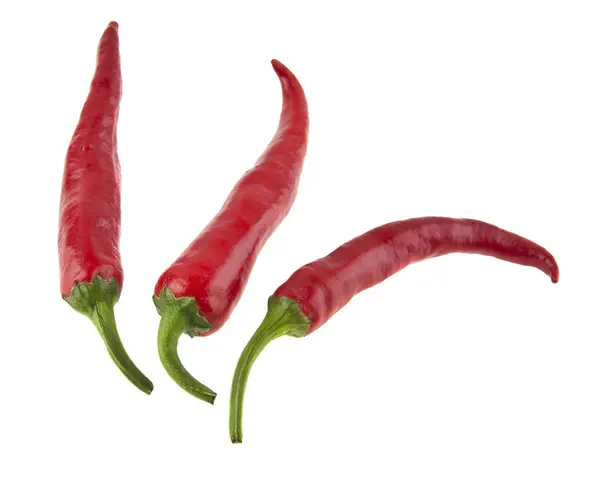 Varm röd paprika isolerad på vit bakgrund närbild — Stockfoto