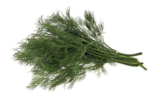 Dill isolerad på vit bakgrund närbild — Stockfoto