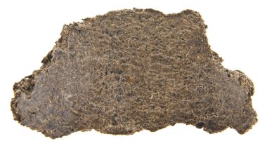 bir beyaz arka plan closeup izole preslenmiş Ayçekirdeği