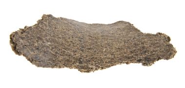 bir beyaz arka plan closeup izole preslenmiş Ayçekirdeği