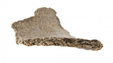 bir beyaz arka plan closeup izole preslenmiş Ayçekirdeği