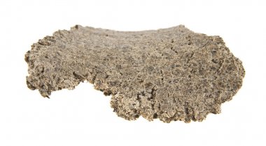 bir beyaz arka plan closeup izole preslenmiş Ayçekirdeği