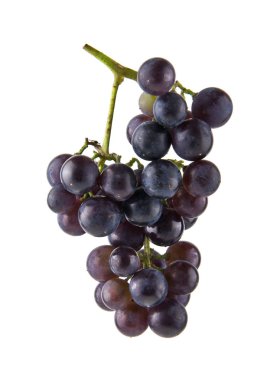 Beyaz arka plan closeup izole üzüm