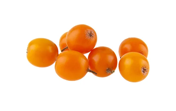 Sea buckthorn isolated on white background closeup — Stock Photo, Image